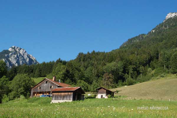 Chalet de montagne vacances d'été dans les Alpes du nord